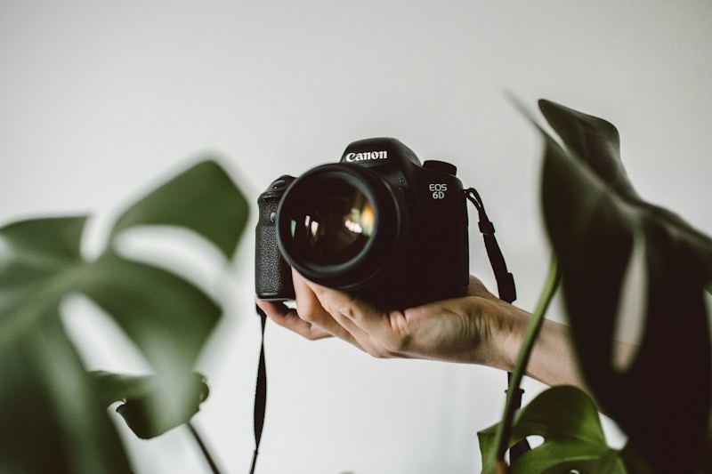 A hand holding a Canon camera among monstera leaves